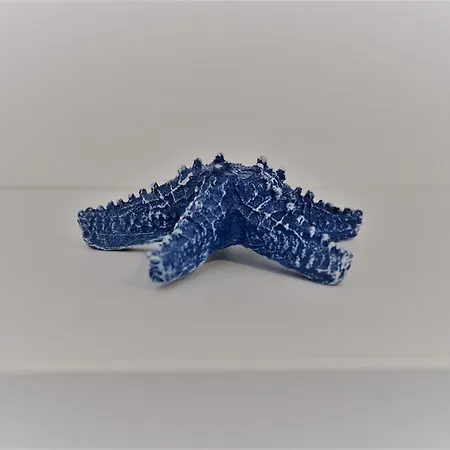 Olas Blue Apartament *